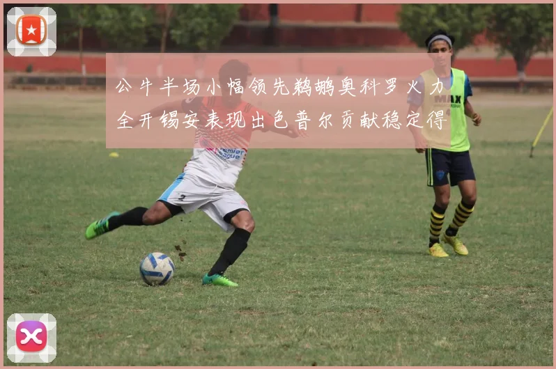 公牛半场小幅领先鹈鹕奥科罗火力全开锡安表现出色普尔贡献稳定得分
