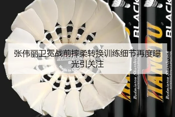 张伟丽卫冕战前摔柔转换训练细节再度曝光引关注